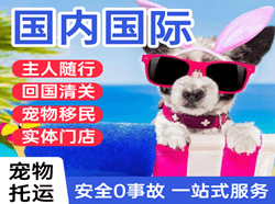 海北祁连航空物流国际宠物托运 【国